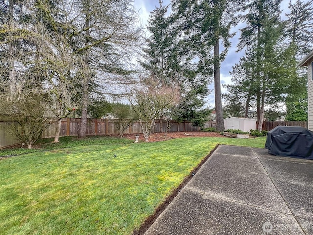 view of yard with an outbuilding, a fenced backyard, a patio, and a storage unit