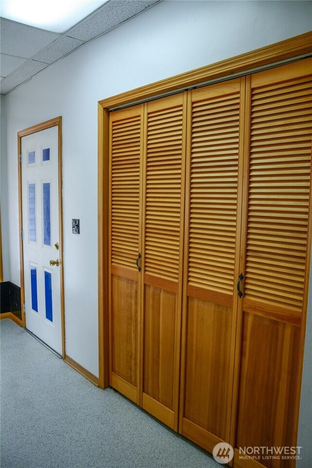 details featuring carpet flooring and baseboards