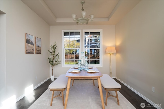 dining room featuring wood finished floors, a raised ceiling, and baseboards