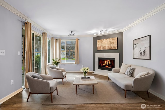 living area featuring a warm lit fireplace, crown molding, baseboards, and wood finished floors