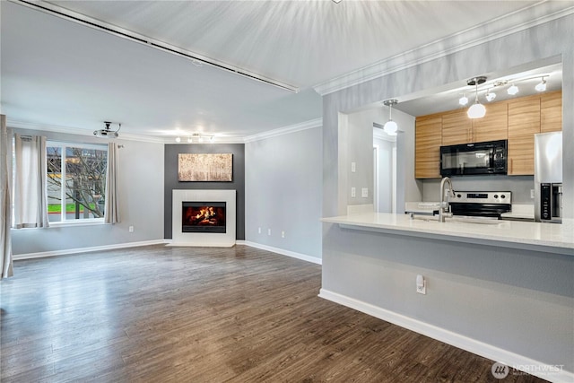 kitchen with appliances with stainless steel finishes, dark wood-style flooring, a lit fireplace, light countertops, and crown molding