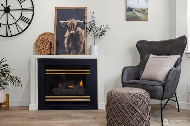 living area with baseboards, wood finished floors, and a glass covered fireplace