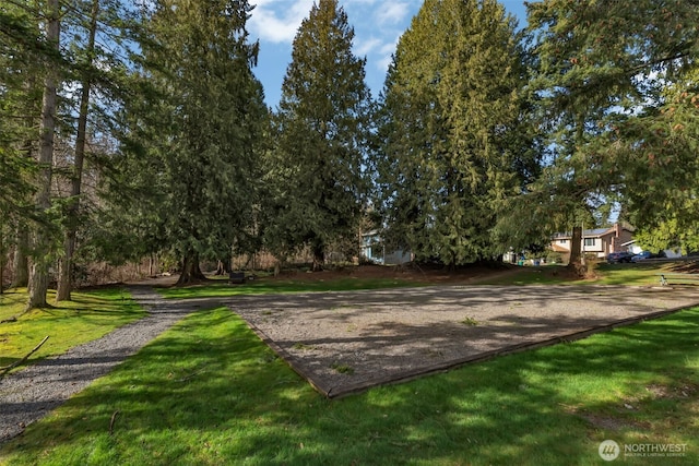 view of home's community with a lawn