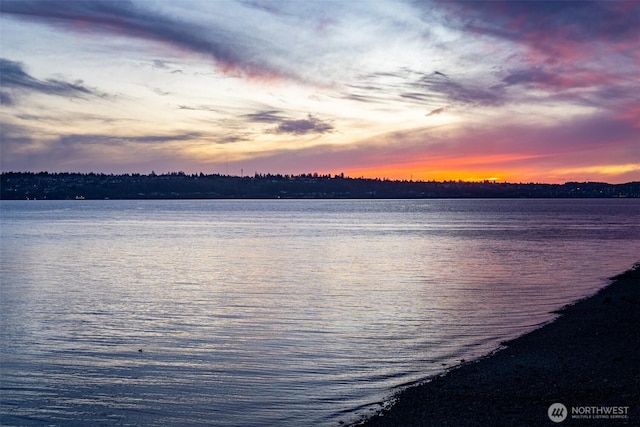 property view of water