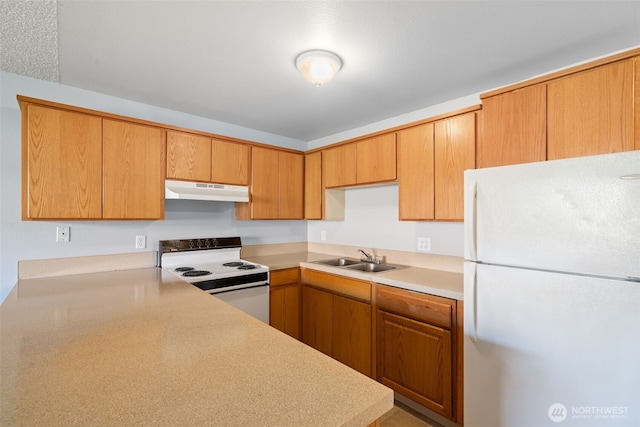 kitchen featuring white appliances, under cabinet range hood, light countertops, and a sink