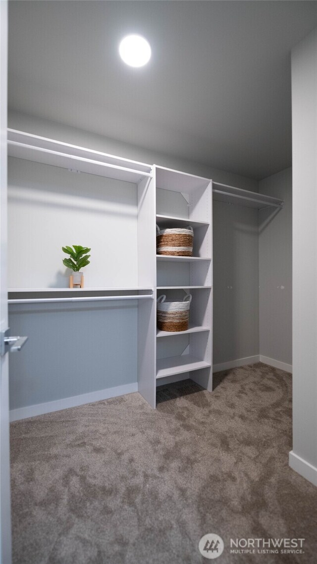 spacious closet with carpet