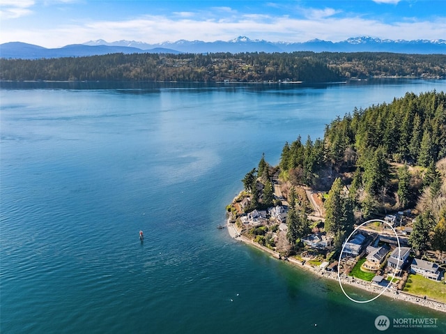 drone / aerial view featuring a view of trees and a water and mountain view