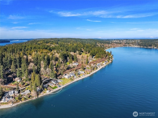 aerial view with a water view and a wooded view