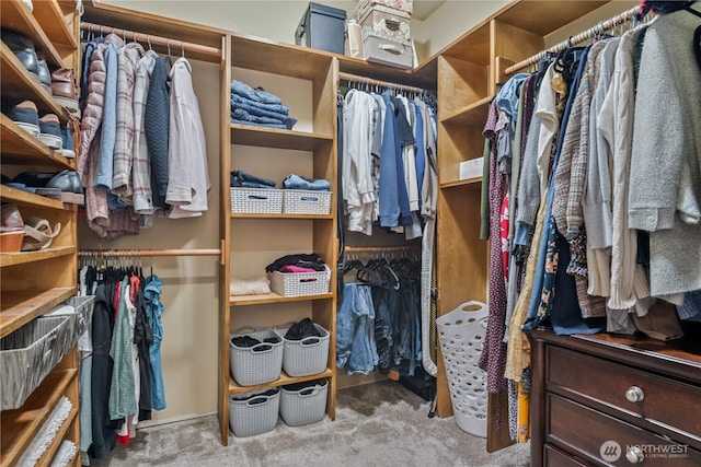 spacious closet featuring carpet