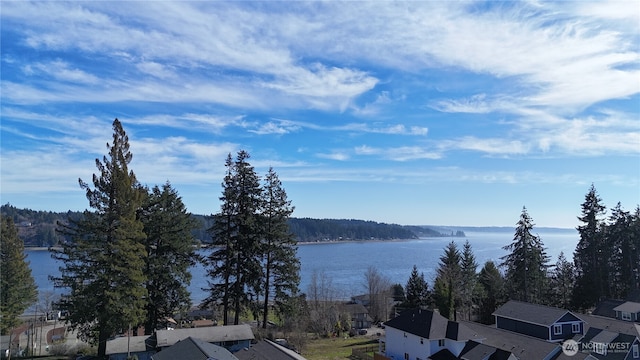 property view of water with a view of trees