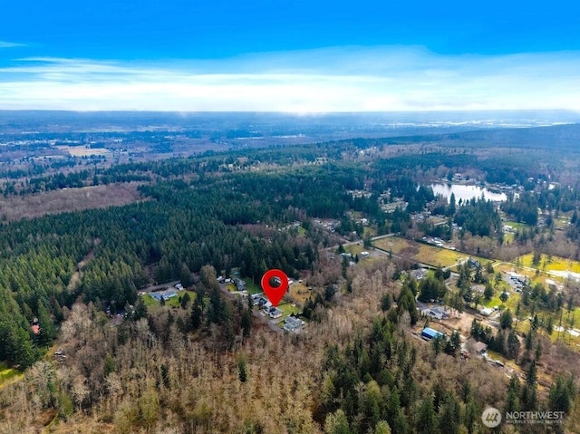 aerial view with a forest view