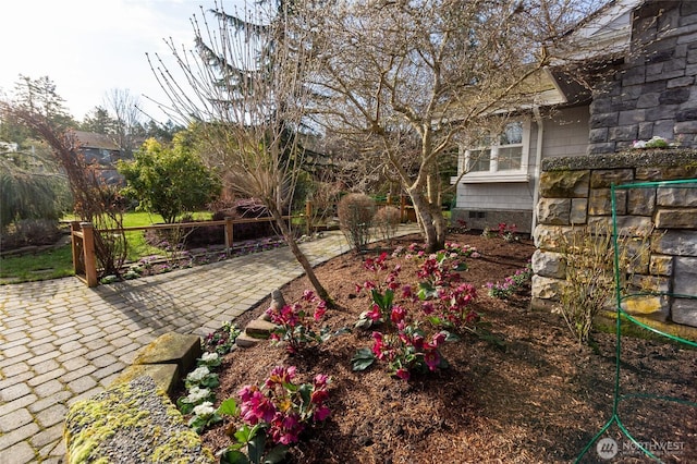 view of yard with a patio area