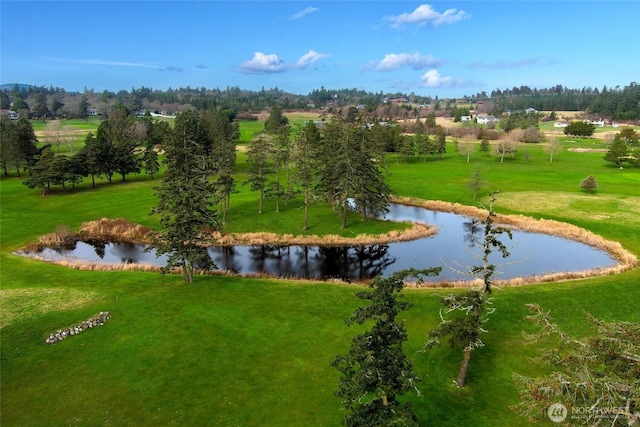 view of home's community with a water view and a lawn