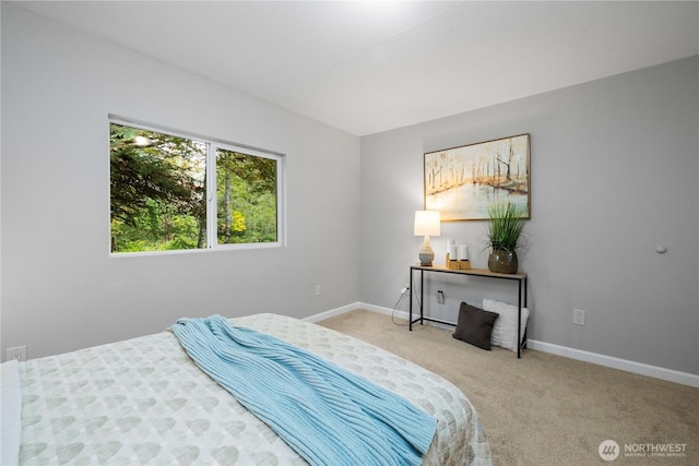 bedroom with carpet floors and baseboards