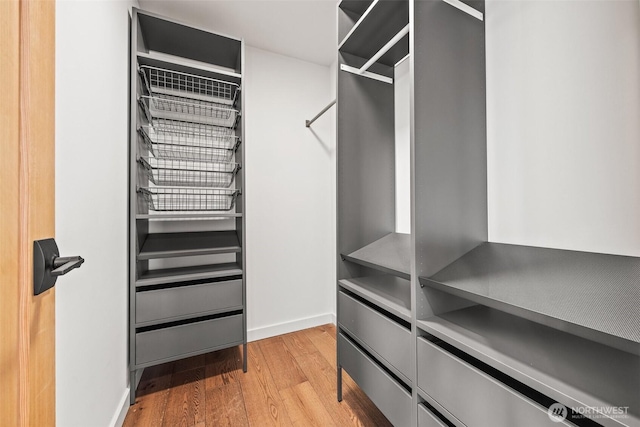 spacious closet with light wood finished floors