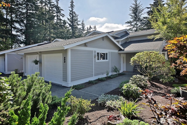 view of front facade featuring a shingled roof