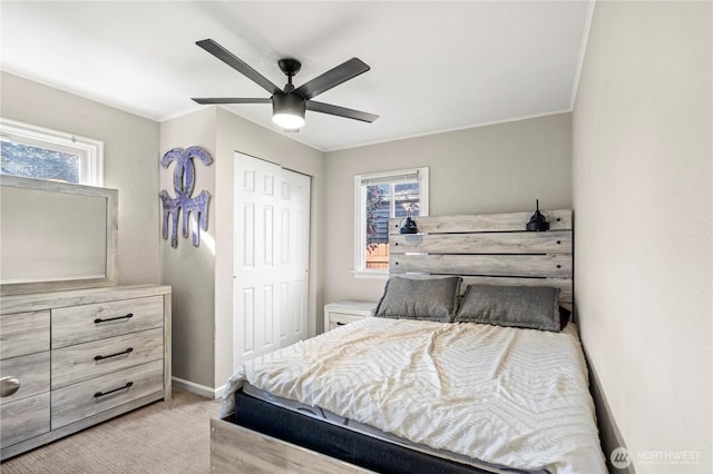 bedroom featuring multiple windows, carpet, a closet, and baseboards