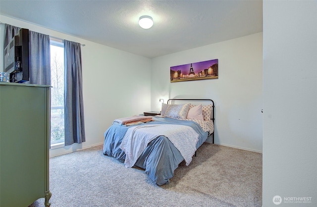 bedroom with carpet flooring, baseboards, and multiple windows