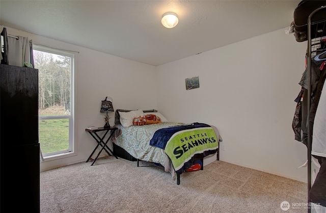 carpeted bedroom featuring multiple windows