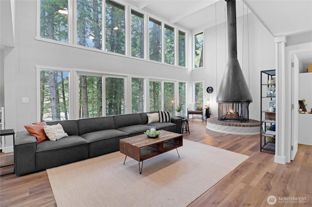 living area featuring a wealth of natural light, a towering ceiling, and wood finished floors