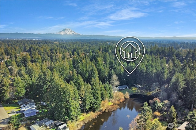 drone / aerial view with a mountain view and a view of trees