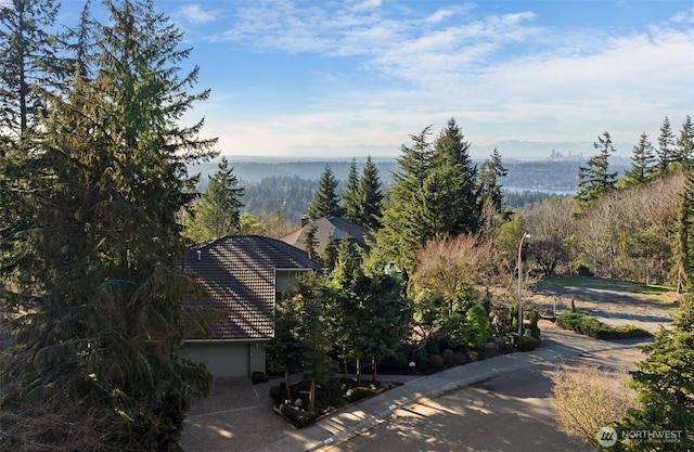 view of water feature with a wooded view