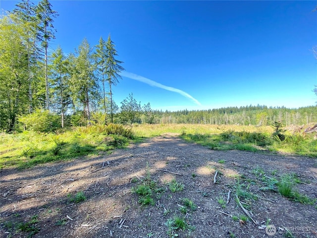 4350LOTD SE Lynch Rd, Shelton WA, 98584 land for sale