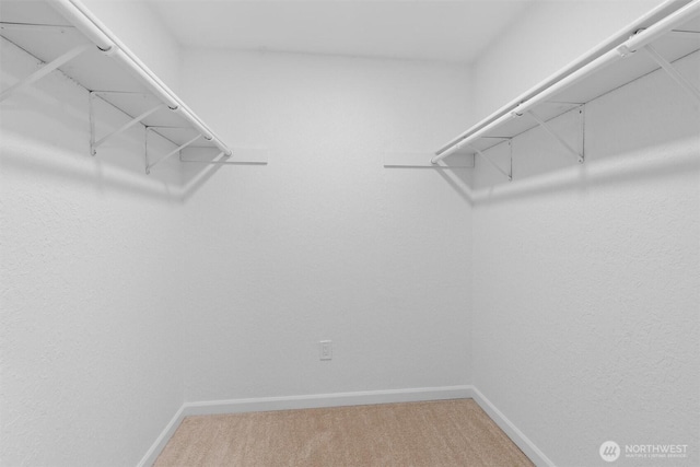 walk in closet with carpet