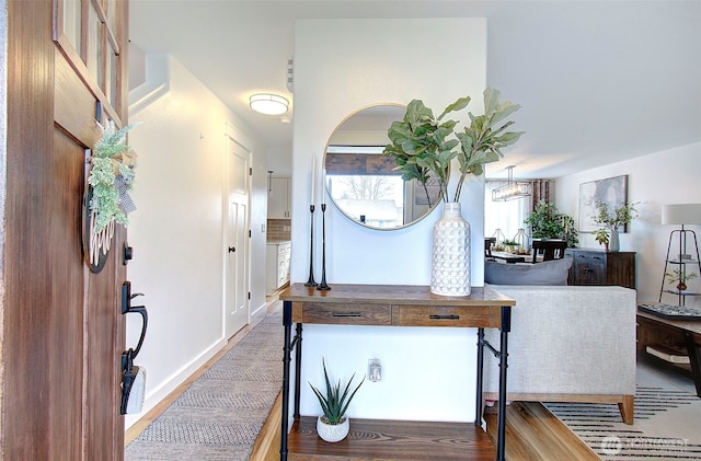 foyer entrance featuring wood finished floors