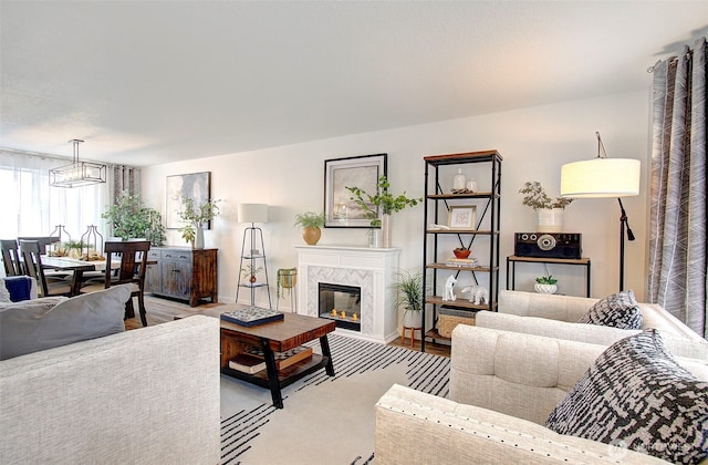 living area featuring a fireplace and wood finished floors