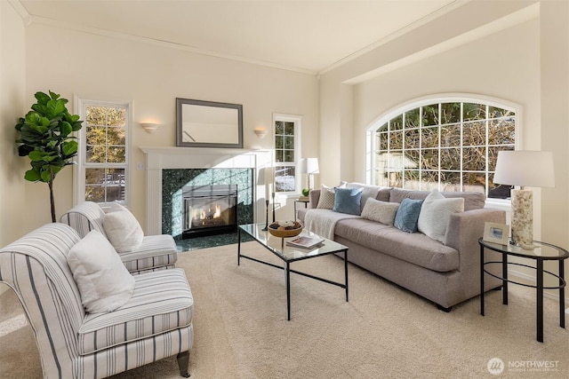 living area featuring carpet floors, ornamental molding, and a high end fireplace