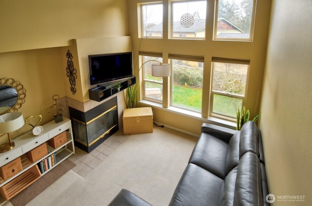 living area featuring carpet floors