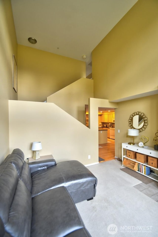 interior space with carpet and a high ceiling