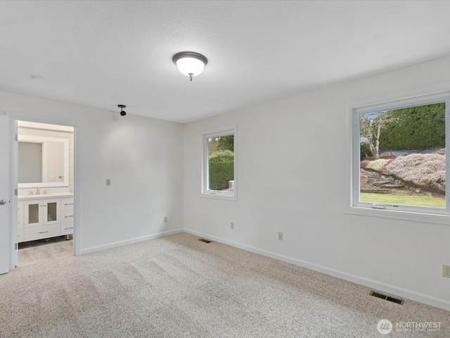 empty room featuring visible vents, a sink, light carpet, and baseboards