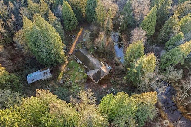 aerial view with a view of trees