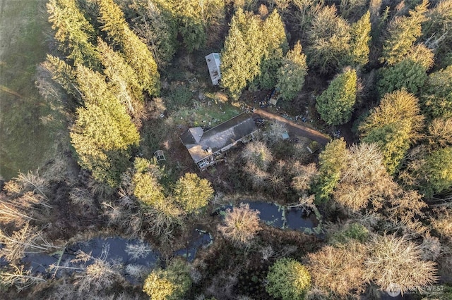 drone / aerial view featuring a view of trees