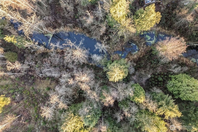 aerial view with a wooded view