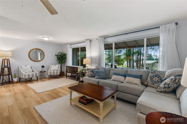 living area with a textured ceiling, light wood-type flooring, and ceiling fan