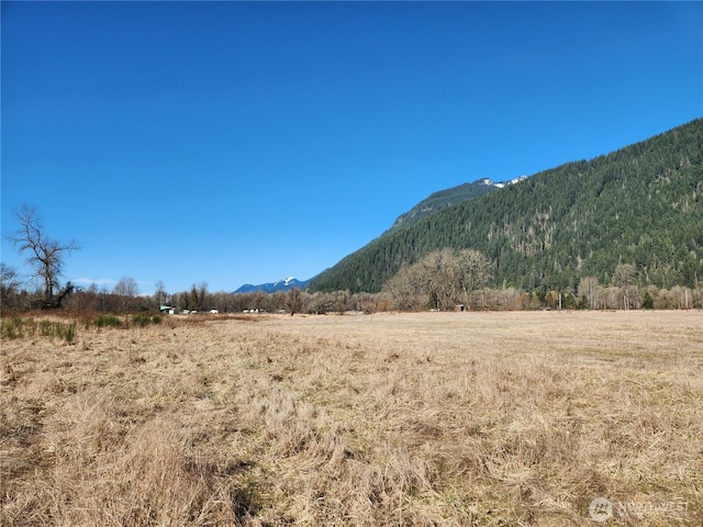 Listing photo 3 for 112 Horseshoe Ln, Randle WA 98593