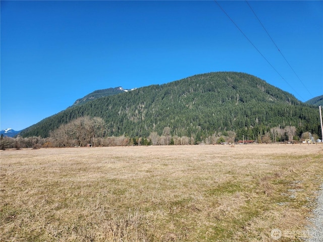 112 Horseshoe Ln, Randle WA, 98593 land for sale