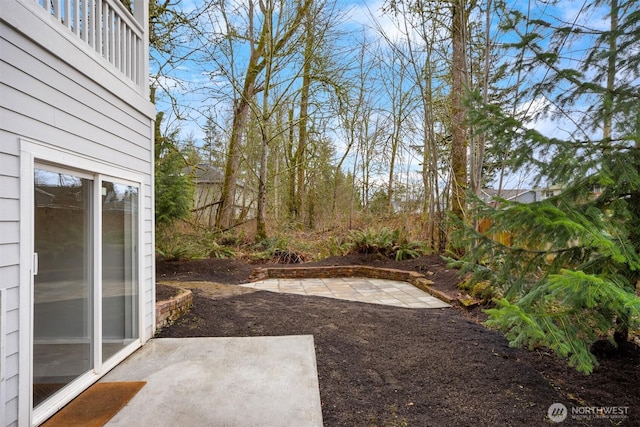 view of yard featuring a patio area