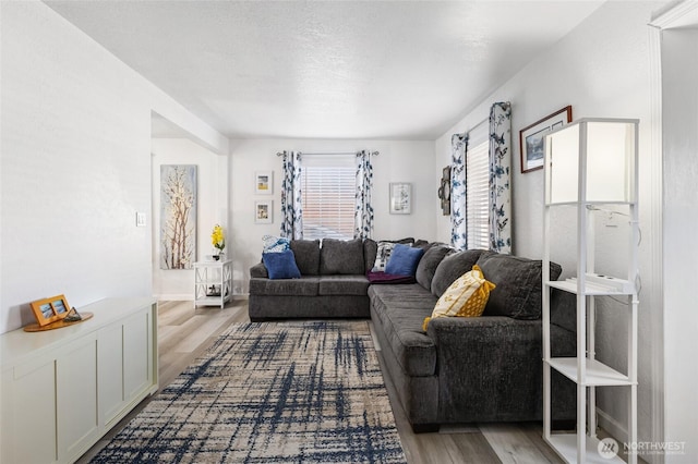 living room with a textured ceiling and wood finished floors