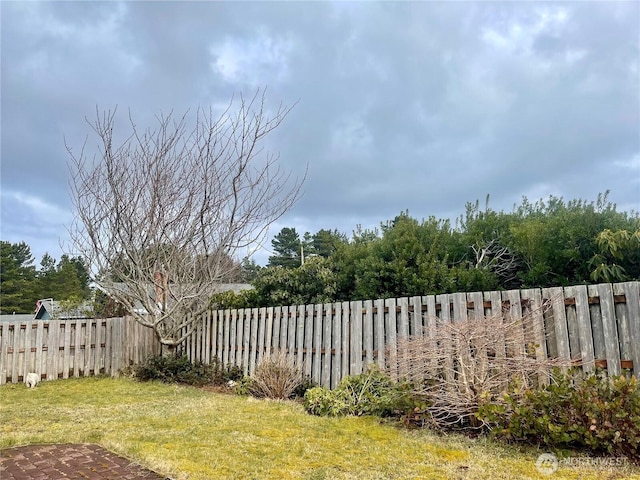 view of yard with a fenced backyard