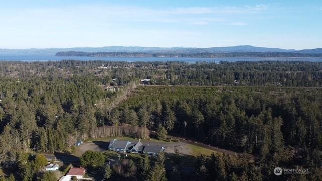 drone / aerial view with a mountain view and a view of trees