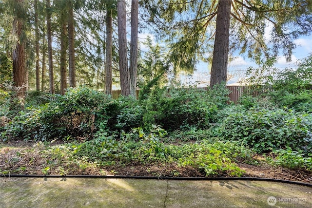 view of yard featuring fence