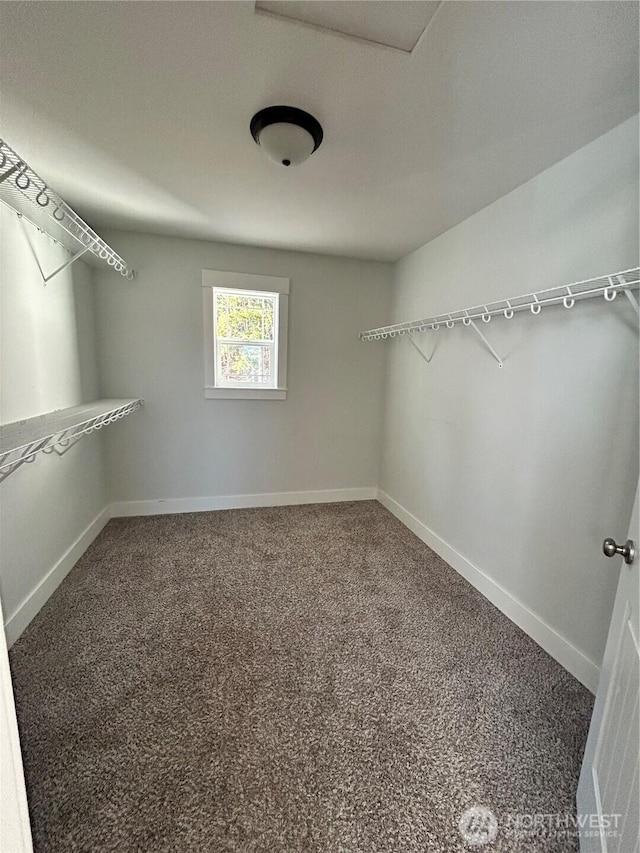 walk in closet with carpet