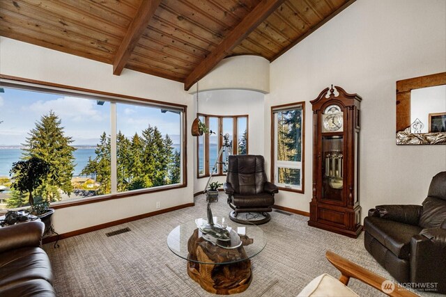 305 Alta Vista Ave, Coupeville, WA 98239 - photo 9