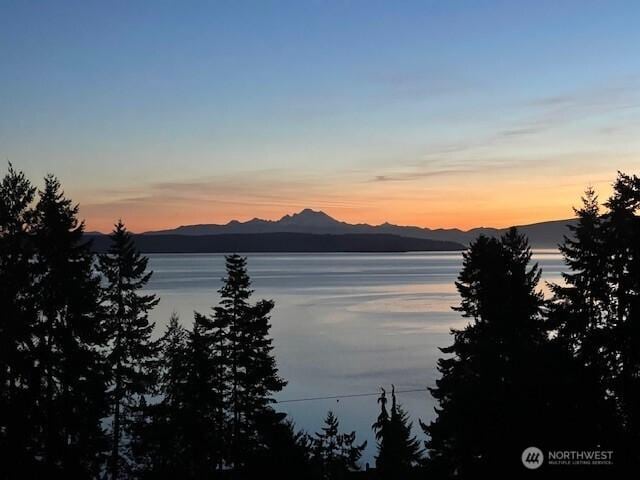 305 Alta Vista Ave, Coupeville, WA 98239 - photo 16