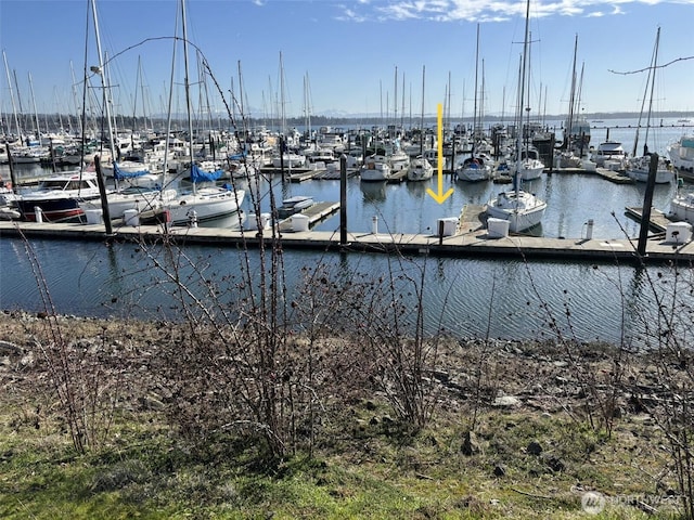 dock area with a water view