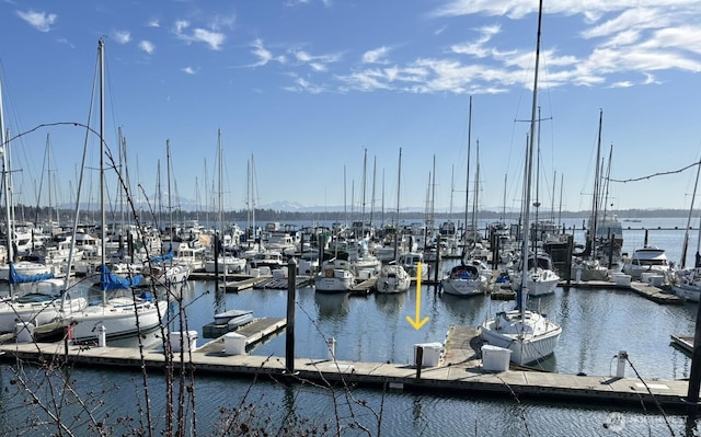 dock area with a water view